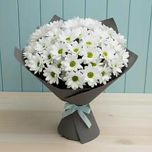 Букет цветов из:  Хризантемы #REPLACE_PRED# Яранске
