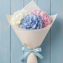 Букет цветов из:  Гортензия в Яранске