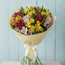 Букет цветов из:  Альстромерии в Яранске