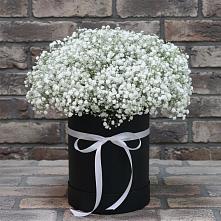Цветочная композиция из Гипсофила в шляпной коробке в Яранске