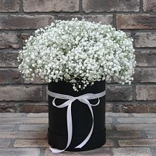Цветочная композиция из Гипсофила в шляпной коробке в Яранске