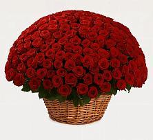 Премиум букет из: Розы в Яранске